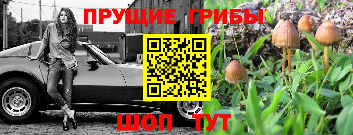 Псилоцибиновые грибы ЛСД  Вход с VPN  Галлюциногенные грибы GOLDEN TEACHER  Советск 